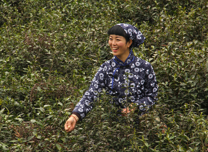 17间房主播跳舞 图鉴1